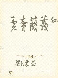 王大明萧红小说免费阅读封面