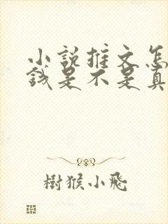 小说推文怎么赚钱是不是真的