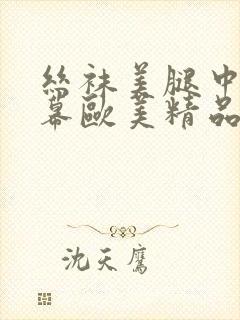 丝袜美腿中文字幕欧美精品封面