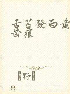 舌苔发白黄腻有齿痕