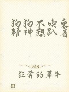 狗狗不吃东西没精神想趴着还吐食封面