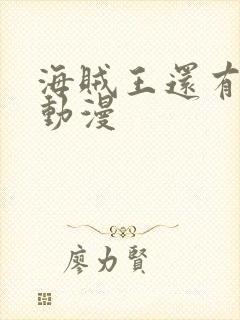 海贼王还有什么动漫