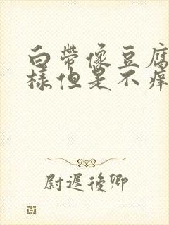 白带像豆腐渣一样但是不痒不痛封面