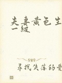 夫妻黄色生活片一级