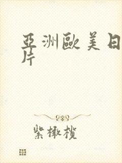 亚洲欧美日韩看片