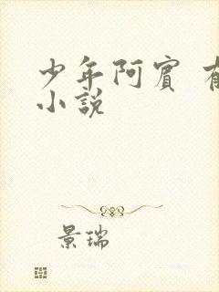 少年阿宾 有声小说