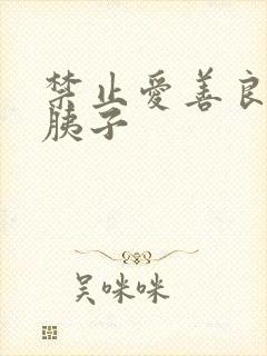 禁止爱善良的小胰子