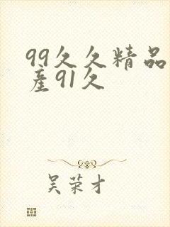 99久久精品国产91久