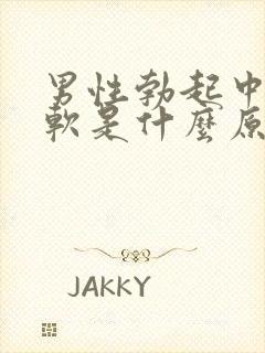 男性勃起中途疲软是什么原因引起的