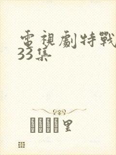 电视剧特战荣耀33集