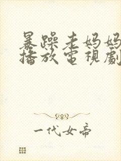 暴躁老妈妈免费播放电视剧封面