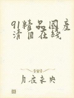 91精品国产高清自在线