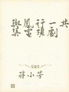 与凤行一共多少集电视剧封面