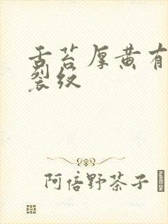 舌苔厚黄有齿痕裂纹