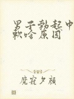 男子勃起中途变软啥原因