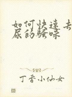 如何快速去除猫尿的骚味