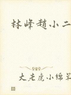 林峰赵小二