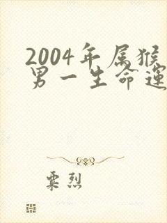 2004年属猴男一生命运如何