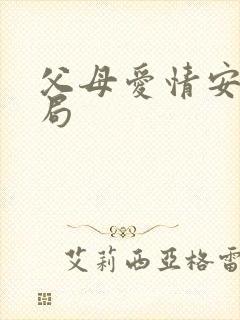 父母爱情安杰结局封面