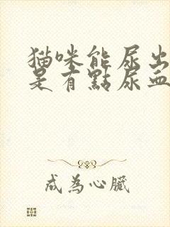 猫咪能尿出来但是有点尿血