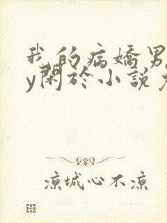 我的病娇男友by闲于小说免费阅读
