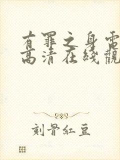 有罪之身电视剧高清在线观看封面