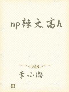 np辣文高h封面