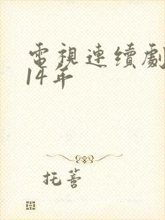 电视连续剧浴血14年