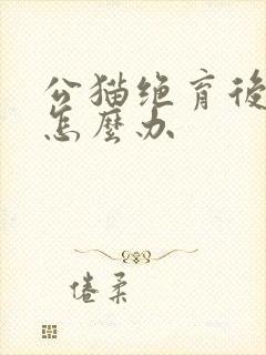 公猫绝育后乱尿怎么办