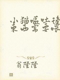 小猫呕吐后不吃东西需要喂点什么吗