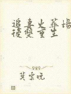 追妻火葬场he后双重生