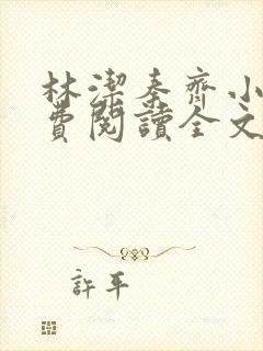 林洁秦齐小说免费阅读全文