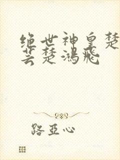 绝世神皇楚风楚芸楚鸿飞封面