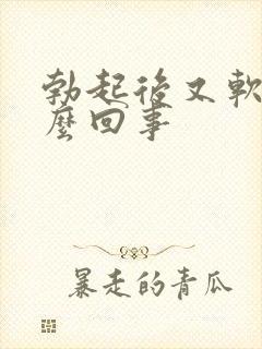 勃起后又软了怎么回事封面