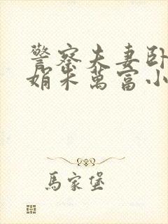 警察夫妻卧底苏娟朱万富小说