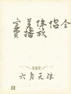 完美伴侣全集免费播放封面