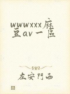 wwwxxx麻豆av一区