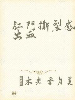 肛门撕裂感大便出血