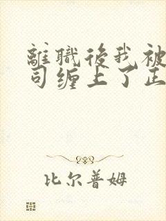 离职后我被前上司缠上了正