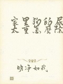 家里狗的尿骚味太重怎么除