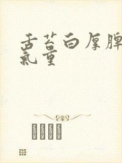 舌苔白厚脾虚湿气重