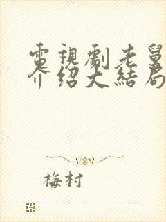 电视剧老舅剧情介绍大结局