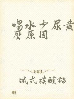 喝水少尿黄是什么原因封面