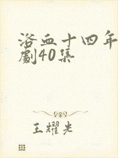 浴血十四年电视剧40集封面