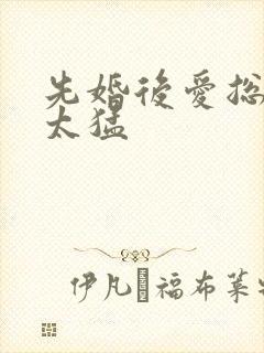 先婚后爱总裁别太猛封面