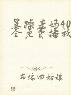 暴躁老妈40集全免费播放电视剧视频