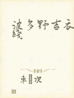 波多野吉衣 在线