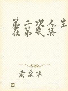 第二次人生吻戏在第几集封面