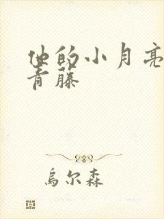 他的小月亮by青藤