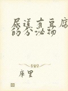 尿道有豆腐渣似的分泌物封面